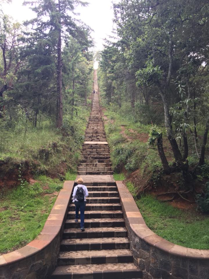 38476981_10104758568961564_1018588821807169536_n